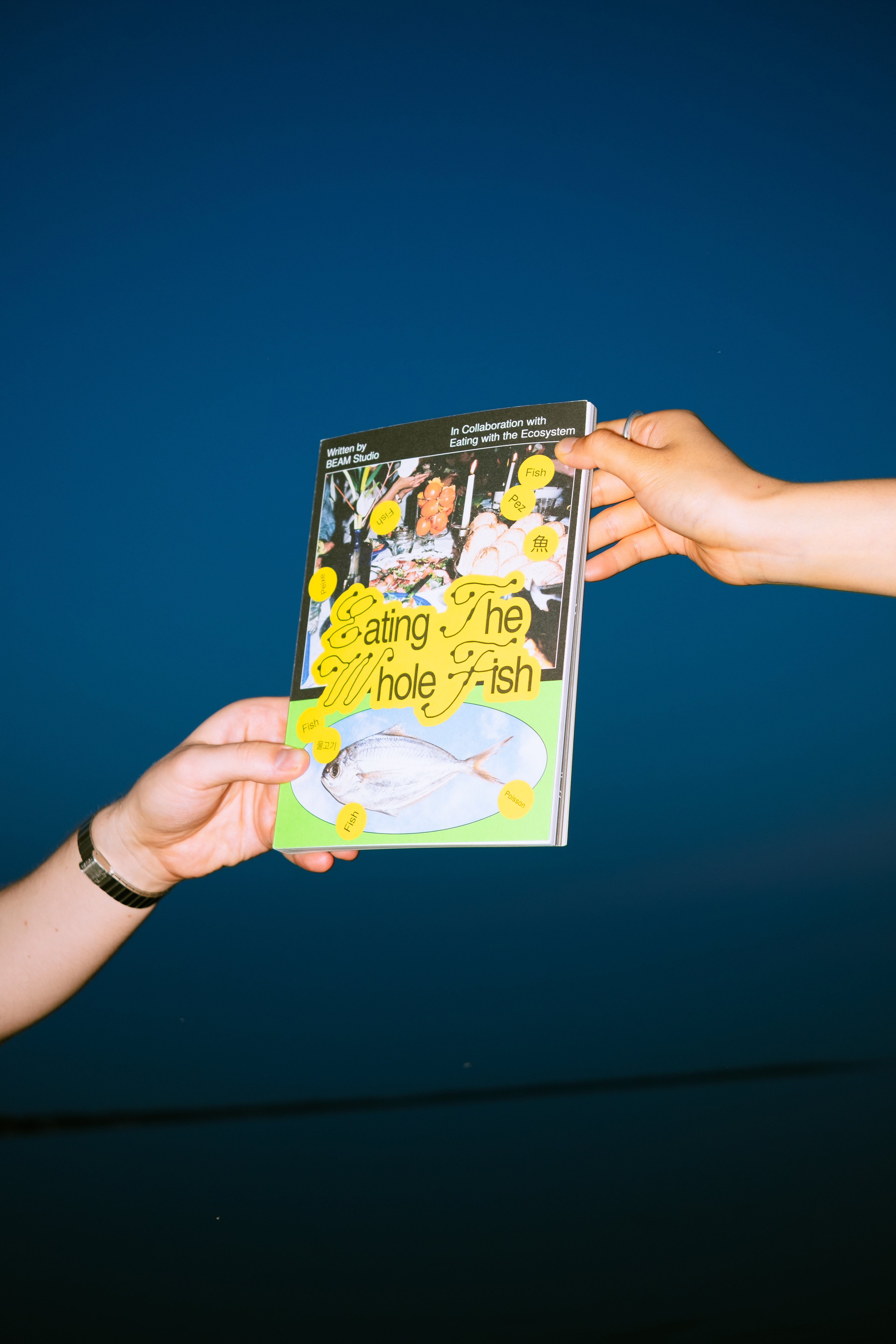 PRE-ORDER | Eating the Whole Fish - Ships August 13
